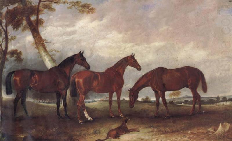 Some Horses, unknow artist